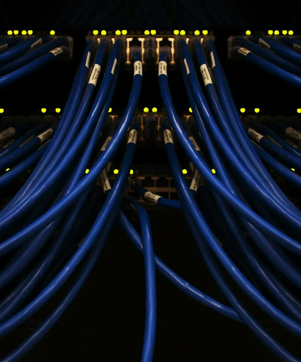 Network cables at the back of a rack.