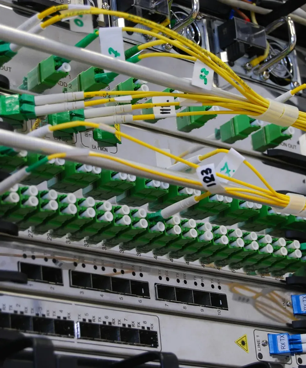 Fibre patch leads on a distribution frame.