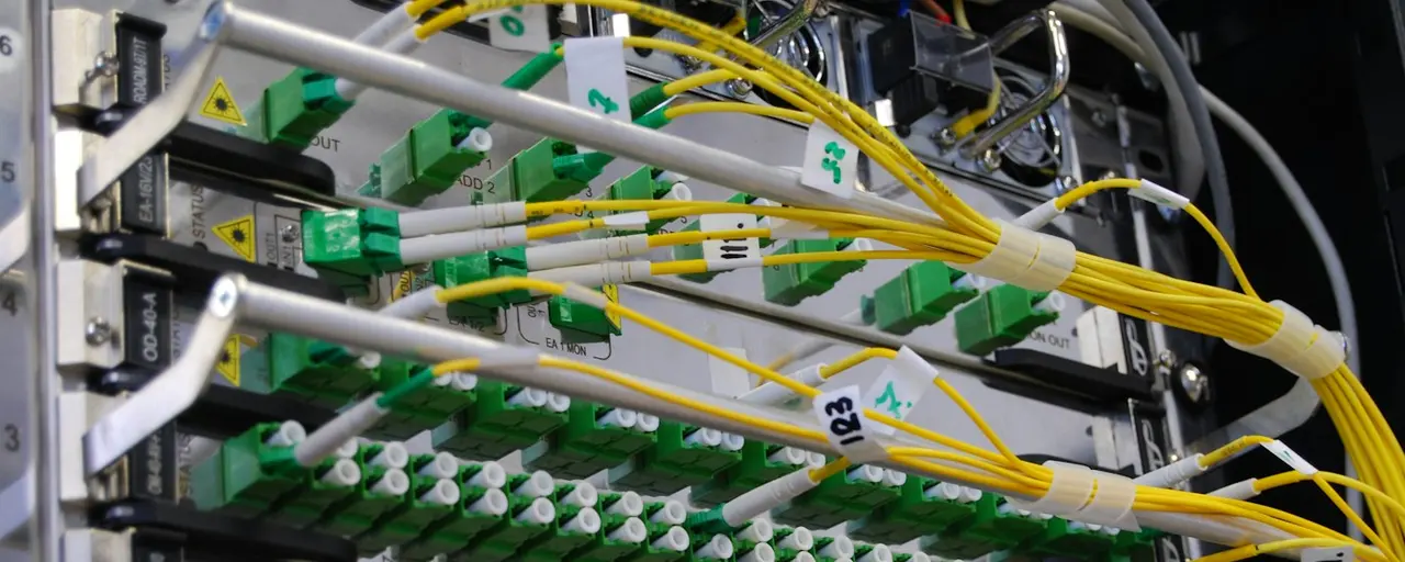 Fibre patch leads on a distribution frame.